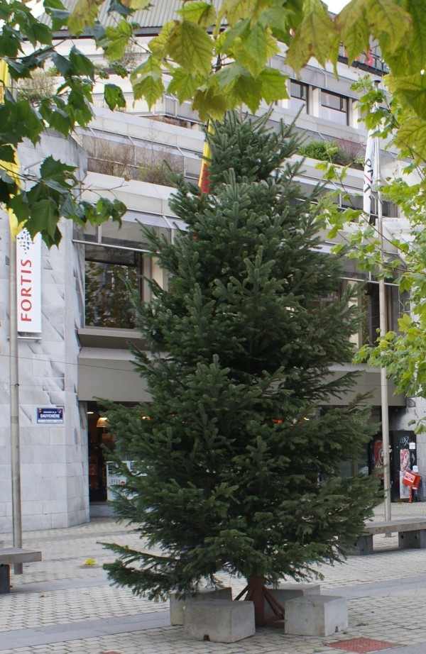 Grande installation de sapin de Noël dans lieu public